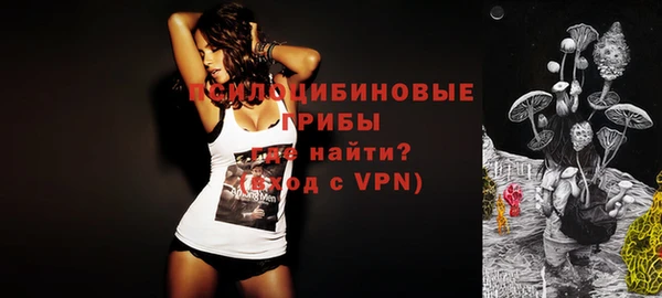 a pvp Ладушкин