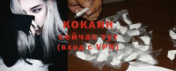 индика Лагань