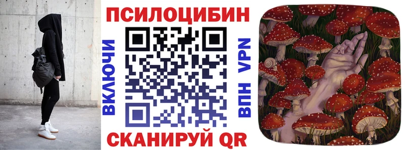 Купить закладки  Буинск  Галлюциногенные грибы MAGIC MUSHROOMS 